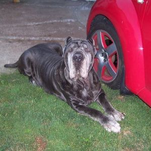 Meet your Posher, Jenn